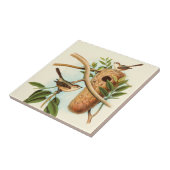 木の枝に止まった巣に乗る鳥のカップル タイル (側面)