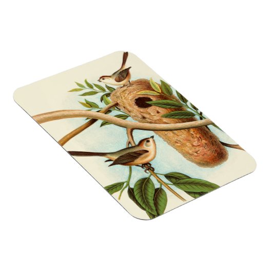 木の枝に止まった巣に乗る鳥のカップル マグネット (右側)