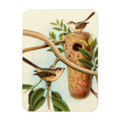 木の枝に止まった巣に乗る鳥のカップル マグネット (縦)