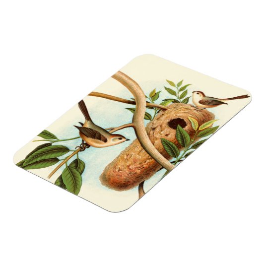 木の枝に止まった巣に乗る鳥のカップル マグネット (左側)