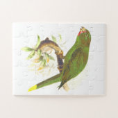 木の枝に止まった緑のオウムのような鳥 ジグソーパズル (横)