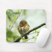 木の枝に止まっていた子豚の マウスパッド (マウス)