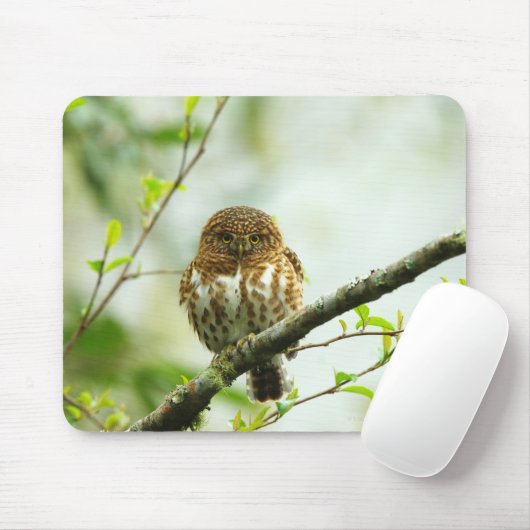 木の枝に止まっていた子豚の マウスパッド (マウス)