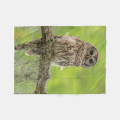 木の枝に止まるオオスズメフクロウ フリースブランケット (正面(横))