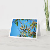 木の枝に生ったアーモンド カード (正面)