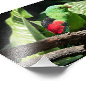 木の枝に赤い翼のオウム フォトプリント            (角)