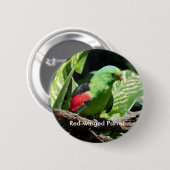 木の枝に赤い翼のオウム 缶バッジ (正面&裏面)