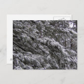 木の枝に雪はがき – 独自の文字を追加 ポストカード (正面/裏面)