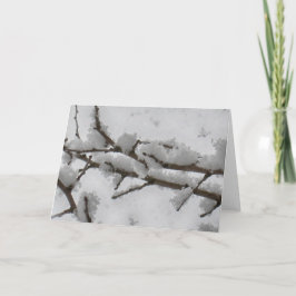 木の枝に雪 シーズンカード