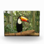 木の枝のトウカン フォトブロック (正面)