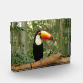 木の枝のトウカン フォトブロック (左)