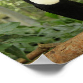 木の枝のトウカン ポスター (角)