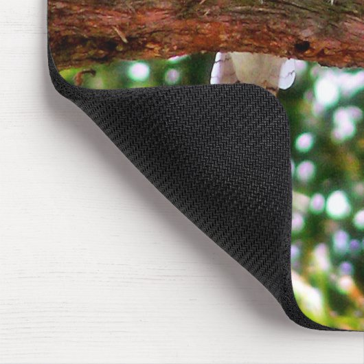 木の枝の上にコカブラバードマウスパッド マウスパッド (コーナー)