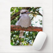 木の枝の上にコカブラバードマウスパッド マウスパッド (マウス)