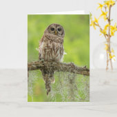 木の枝の上にバーレッドのフクロウ カード (黄色い花)