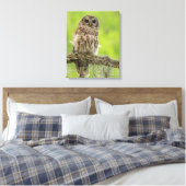 木の枝の上にバーレッドのフクロウ キャンバスプリント (インサイチュ (寝室))