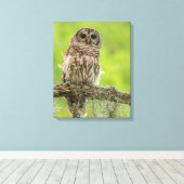 木の枝の上にバーレッドのフクロウ キャンバスプリント (インサイチュ (ウッドフロア))