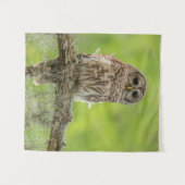 木の枝の上にバーレッドのフクロウ タペストリー (正面(横))