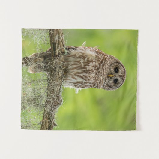木の枝の上にバーレッドのフクロウ タペストリー (正面(横))