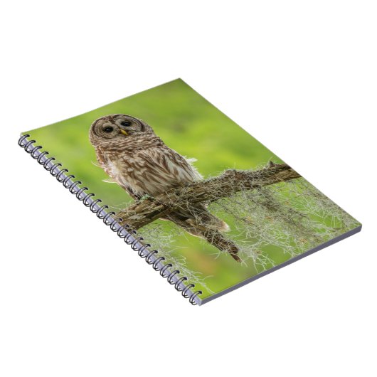 木の枝の上にバーレッドのフクロウ ノートブック (右側)