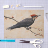 木の枝の上に止まったパイレーテッド・ウッドペッカー 薄葉紙 (クラフト)