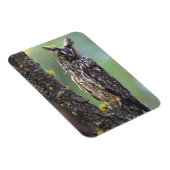 木の枝の上に止まった長い耳のフクロウ マグネット (右側)