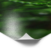 木の枝の上の雨粒 フォトプリント            (角)