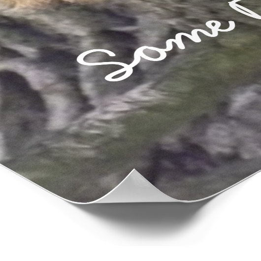 木の枝の写真に休むレイジーリス ポスター (角)