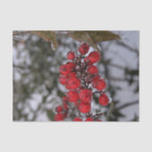 木の枝の凍ったベリーの写真ティシューペーパー 薄葉紙 (正面)