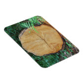 木の枝を挽く マグネット (右側)