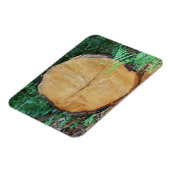 木の枝を挽く マグネット (左側)