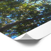 木の枝 ポスター (角)