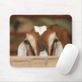 木の柵にかいま見ているNubianの雌ジカ マウスパッド (マウス)