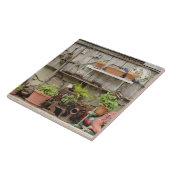 木の柵に飾り付け、カタリナ島。 タイル (側面)