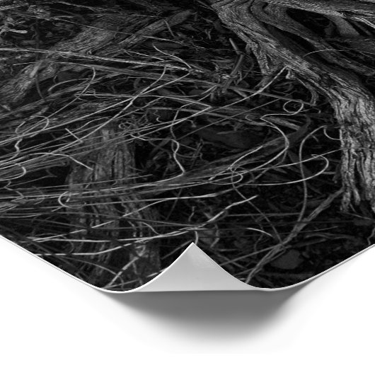 木の根 ポスター (角)