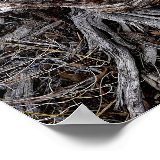 木の根 ポスター (角)