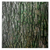 木の樹皮のテクスチャ タイル (正面)