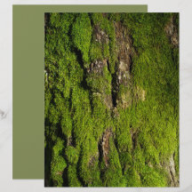 木の樹皮の苔のスクラップブック用紙