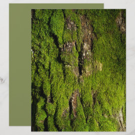 木の樹皮の苔のスクラップブック用紙