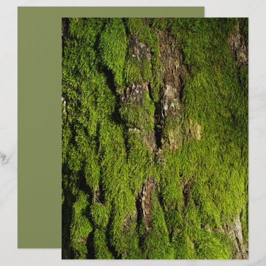 木の樹皮の苔のスクラップブック用紙 (正面/裏面)