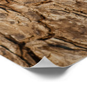 木の樹皮の質感、自然な木の背景。 ポスター (角)