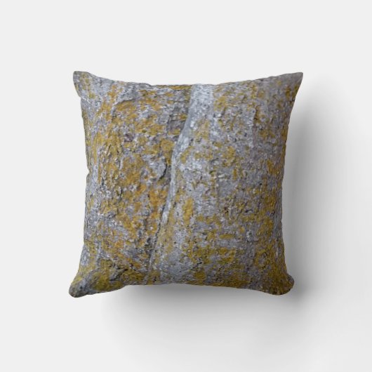 木の樹皮 クッション (裏面)