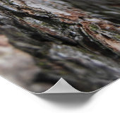 木の樹皮 ポスター (角)