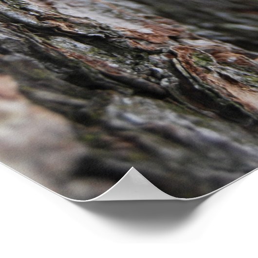 木の樹皮 ポスター (角)