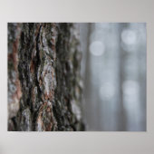 木の樹皮 ポスター (正面)