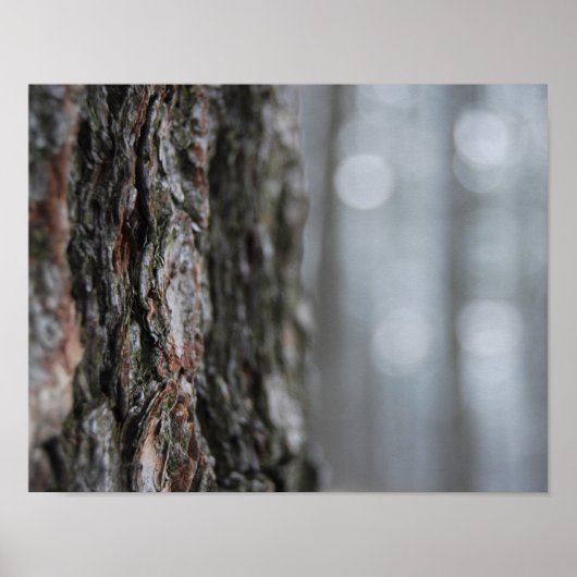 木の樹皮 ポスター (正面)