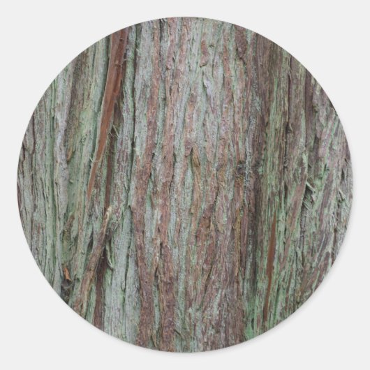 木の樹皮 ラウンドシール (正面)