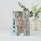 木の樹皮、愛素朴、 ポストカード (スタンド正面)