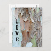 木の樹皮、愛素朴、 ポストカード (正面/裏面)