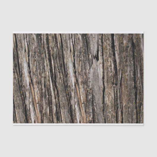 木の樹皮 薄葉紙 (正面)